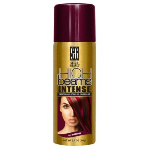 Salon Grafix High Beams Intense Temporary Spray - Burgundy for Unisex - 2.7 oz Hair Color, $9.95