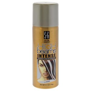Salon Grafix High Beams Intense Temporary Spray - Silver for Unisex - 2.7 oz Hair Color, $8.78