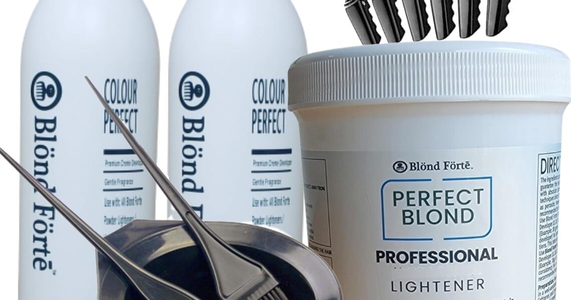 Perfect Blond 17 Oz/1.1 lbs Hair Toner Dye Lightener Bleaching Powder Kit + 30 Vol Developer Bundle 5 pcs (Blue Lightening Powder), $32.95