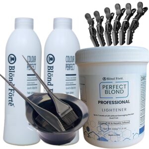 Perfect Blond 17 Oz/1.1 lbs Hair Toner Dye Lightener Bleaching Powder Kit + 30 Vol Developer Bundle 5 pcs (Blue Lightening Powder), $32.95