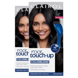 Clairol Root Touch-Up by Nice'n Easy Permanent Hair Dye, 2 Black Hair Color, Pack of 2, $16.98