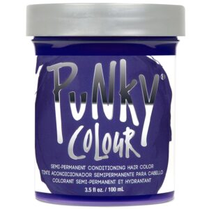 Punky Violet Semi Permanent Conditioning Hair Color | Non-Damaging Hair Dye | Vegan, PPD and Paraben Free | Vibrant Hair Color | Easy To Use | Lasts Up To 35 washes | 3.5oz, $10.90